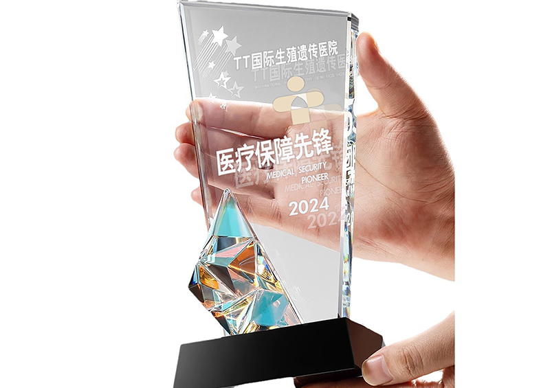 TT国际生殖遗传医院荣获2024医疗保障先锋