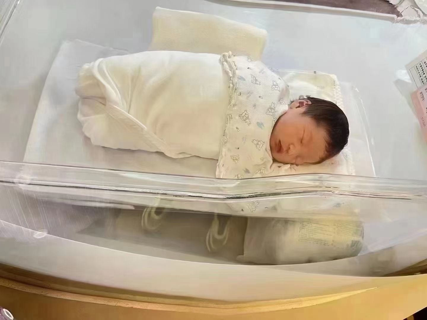 朱女士三代试管成功