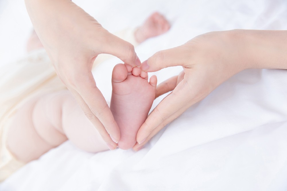 科学备孕全指南：迈向幸福孕育之路