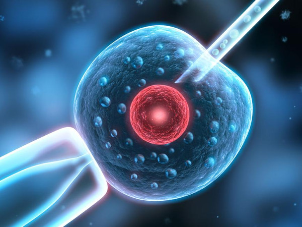 TT国际生殖医院专业指导促排卵针注射方法